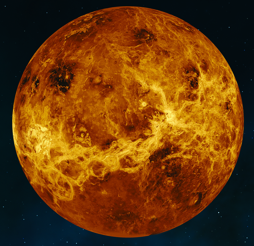 Venuše